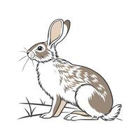 Vibrant American Rabbit Realistic Color Artwork vector