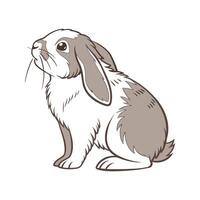 Charming Realistic Fuzzy Lop Rabbit in Color vector