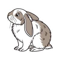 Vibrant Fuzzy Lop Rabbit Realistic Color Art vector