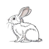 Adorable Realistic Angora Rabbit Color Art vector