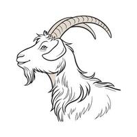 Stylish Angora Goat Realistic Color Artwork vector