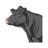 Elegant Angus Cow in Realistic Color Art vector