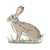 Charming Beveren Rabbit in Realistic Illustrations vector
