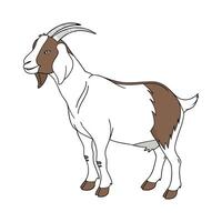 Captivating Boer Goat in Vibrant Outline Style vector