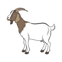 Stylish Boer Goat in Detailed Realistic Outline Art vector