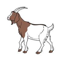 Charming Boer Goat in Realistic Outline Colors vector
