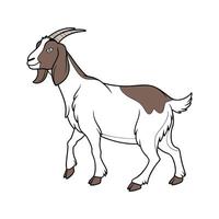 Adorable Boer Goat Realistic Color Illustration vector