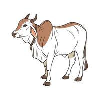 Charming Brahman Cow Realistic Outline Illustration vector