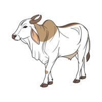 Elegant Brahman Cow Realistic Color Illustration vector