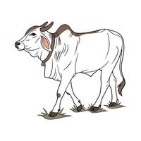 Charming Brahman Cow in Vibrant Outline Art vector