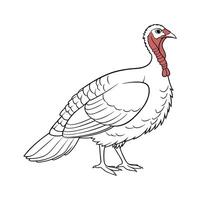 Elegant BroadBreasted White Turkey Illustration vector