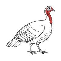 Captivating BroadBreasted Turkey in Realistic Art vector