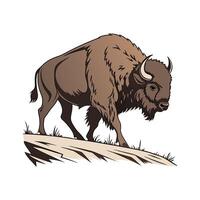 Charming Realistic Color Illustration of Buffalo vector
