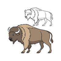 Elegant Outline Buffalo in Realistic Color Art vector