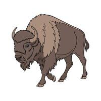 Stylish Buffalo Realistic Color Art vector