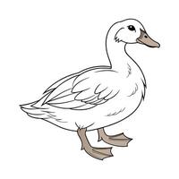 Elegant Buff Orpington Duck Realistic Color Art vector