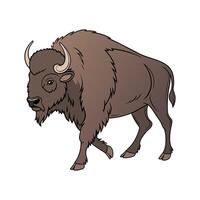 Elegant Buffalo in Realistic Color Illustration vector