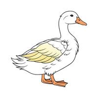 Captivating Buff Orpington Duck Color Illustration vector