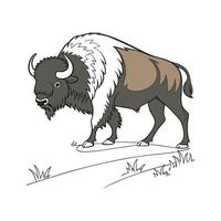 Stylish Buffalo Outline in Vibrant Realistic Colors vector