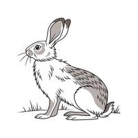 Charming Californian Rabbit in Beautiful Colors vector