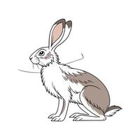 Stylish Realistic Color Illustration of Californian Rabbit vector