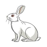 Elegant Realistic Color Illustration of Champagne DArgent Rabbit vector
