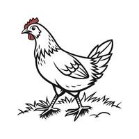 Elegant Bold Outline of Chicken in Colors vector