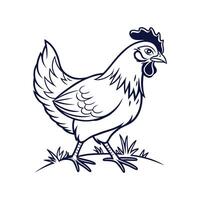 Charming Bold Outline Chicken Color Illustration vector
