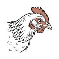 Elegant Realistic Color Illustration of Chicken vector