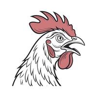 Elegant Realistic Outline of Chicken in Colors vector