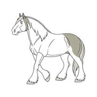 Charming Realistic Color Illustration of Clydesdale Horse vector