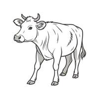 Elegant Realistic Cow Color Art vector