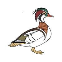 Elegant Realistic Outline of Crested Duck vector