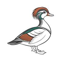 Captivating Crested Duck Realistic Outline Art vector