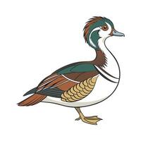 Stylish Crested Duck in Vibrant Outline Colors vector