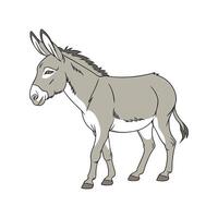 Stylish Outline Donkey Realistic Color Illustration vector