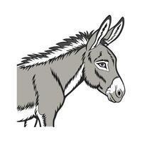 Elegant Donkey in Vibrant Outline Color vector