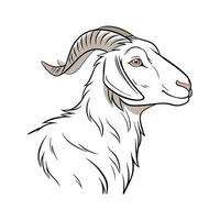 Charming Dorper Sheep Outline in Colors vector
