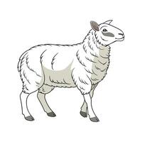 Charming Dorset Sheep Realistic Outline Illustration vector