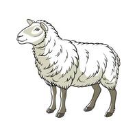 Stylish Dorset Sheep in Vibrant Outline Colors vector