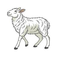 Captivating East Friesian Sheep in Realistic Color vector