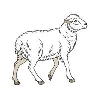 Stylish East Friesian Sheep in Vibrant Colors vector