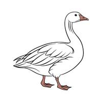 Stylish Realistic Outline of Embden Goose vector