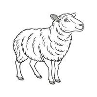 Elegant East Friesian Sheep Color Illustration vector