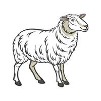 Charming East Friesian Sheep in Vibrant Colors vector