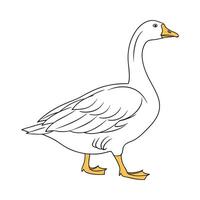 Elegant Embden Goose in Realistic Outline Colors vector