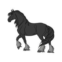Charming Realistic Color Illustration of Friesian Horse vector