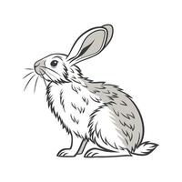 Charming Giant Chinchilla Rabbit in Realistic Colors vector