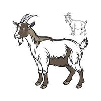 Charming Goat Realistic Outline in Color vector