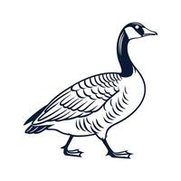 Elegant Goose in Bold Outline Colors vector